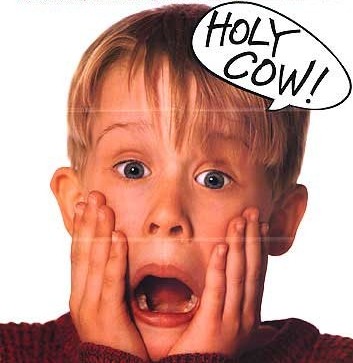 HOLY-COW.jpg